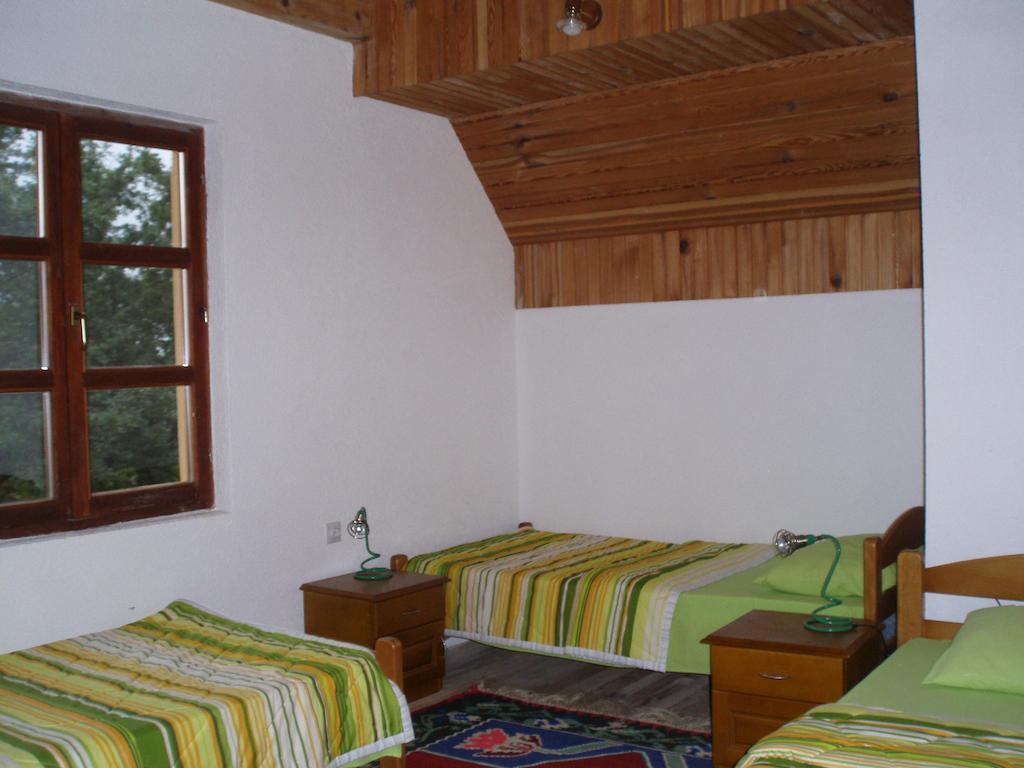 Guest House Tara Canyon プリェヴリャ 部屋 写真