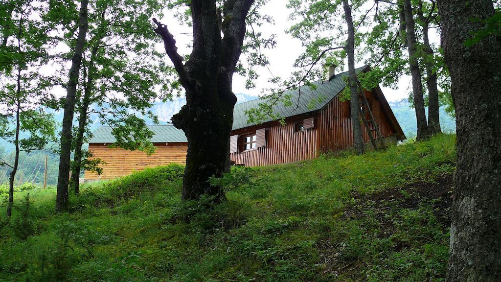Guest House Tara Canyon プリェヴリャ エクステリア 写真